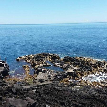ホテル Casa Da Rocha Terra do Pão エクステリア 写真