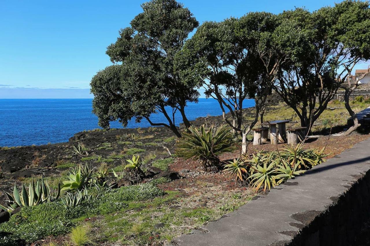 ホテル Casa Da Rocha Terra do Pão エクステリア 写真